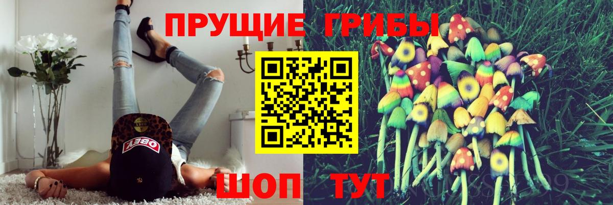 Галлюциногенные грибы MAGIC MUSHROOMS  Вход с VPN  Орёл  Псилоцибиновые грибы мицелий 