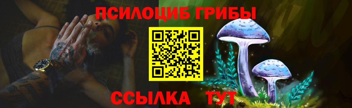 Галлюциногенные грибы мицелий Орёл